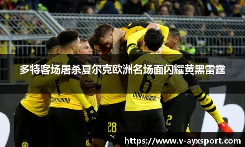 多特客场屠杀夏尔克欧洲名场面闪耀黄黑雷霆