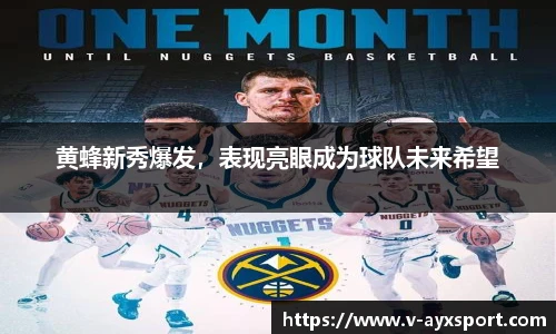 黄蜂新秀爆发，表现亮眼成为球队未来希望